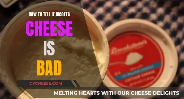 Spotting Bad Ricotta: Signs Your Cheese Has Turned