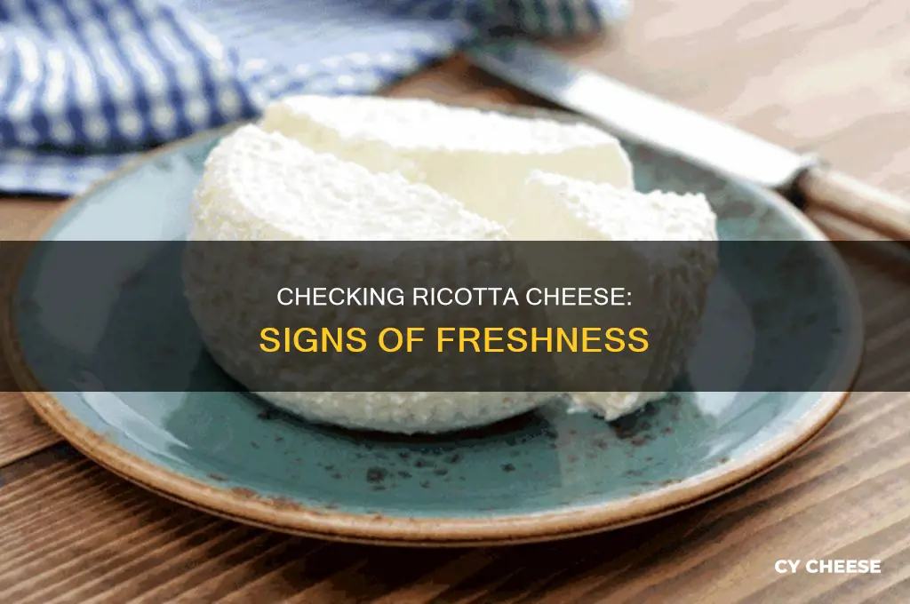 how to tell if ricotta cheese is still good