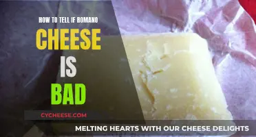 Detecting Romano Cheese Gone Bad