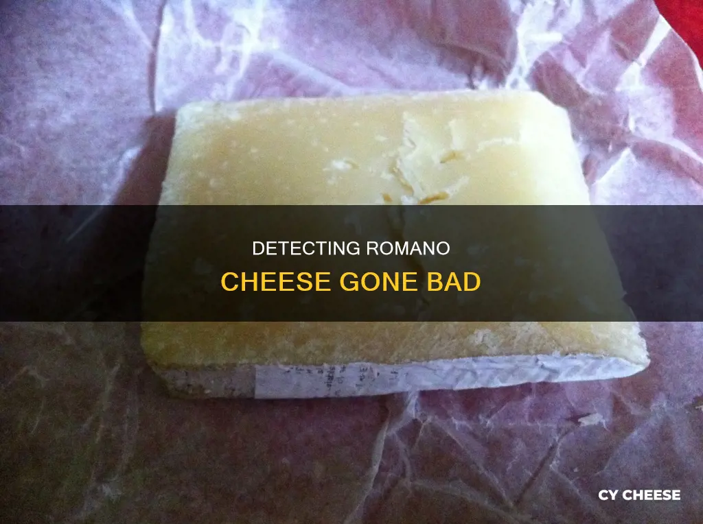 how to tell if romano cheese is bad