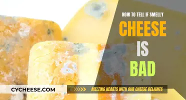 Detecting Smelly Cheese Gone Bad