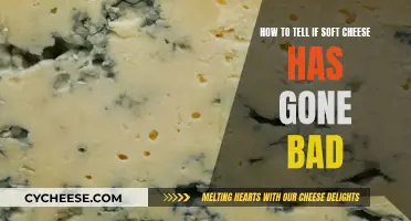 Detecting Spoiled Soft Cheese: Signs to Look For
