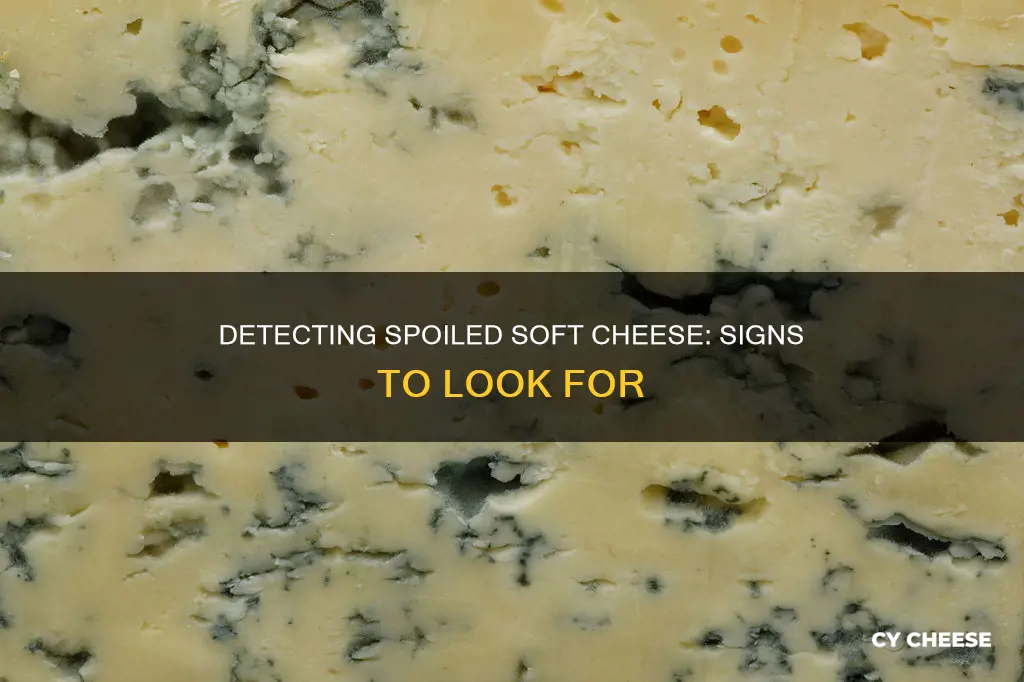 how to tell if soft cheese has gone bad