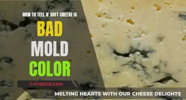 Spotting Bad Soft Cheese: Color and Mold
