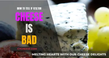 Spotting Bad Stilton Cheese: What to Look For