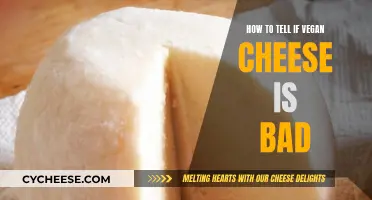 Spotting Bad Vegan Cheese: What to Look For