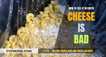 Spotting Bad Velveeta: Signs to Look Out For