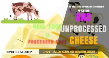 Processed vs. Unprocessed Cheese: Key Differences and How to Identify Them