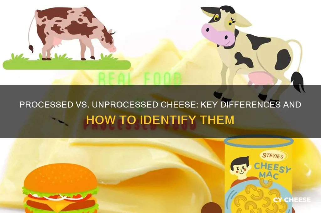 how to tell the difference between processed and unprocessed cheese
