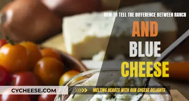 Tasty Tips: Ranch vs. Blue Cheese Flavor Profiles