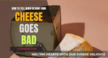 Recognizing When Your Bloomy Rind Cheese Has Gone Bad