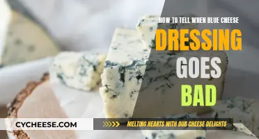 Blue Cheese Dressing: Signs of Spoilage Revealed