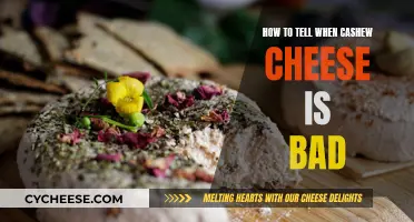 Cashew Cheese: Signs of Spoilage You Should Know