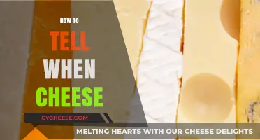 Mastering Cheese Freshness: Signs to Spot When Cheese Goes Bad