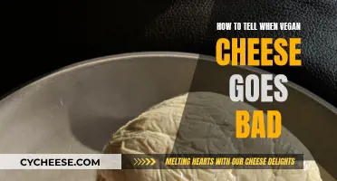 Vegan Cheese: Signs of Spoilage and How to Store It