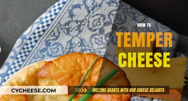 Mastering the Art of Tempering Cheese for Perfect Melting Every Time
