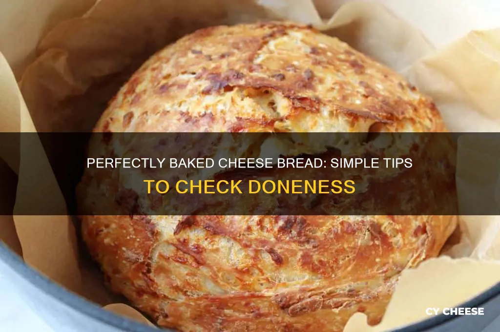 how to test if cheese bread is done