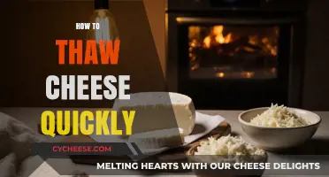 Quick Thawing Tips: Safely Defrosting Cheese in Minutes