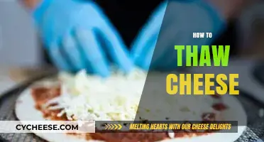 Quick Tips for Safely Thawing Cheese to Preserve Flavor and Texture