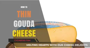 Mastering Gouda: Simple Techniques to Thin Your Cheese Perfectly