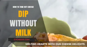 Creative Ways to Thin Cheese Dip Without Using Milk