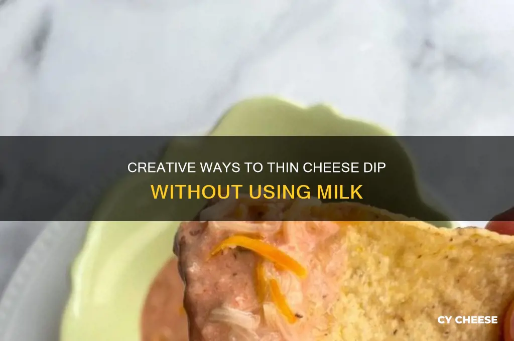 how to thin out cheese dip without milk