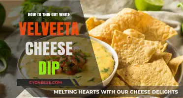 Perfectly Smooth Velveeta Cheese Dip: Simple Thinning Techniques Revealed