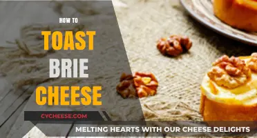 Perfectly Toasted Brie: Simple Steps for Melty, Golden Cheese Delight