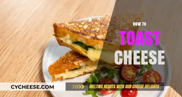 Master the Art of Perfectly Toasted Cheese: Tips and Tricks