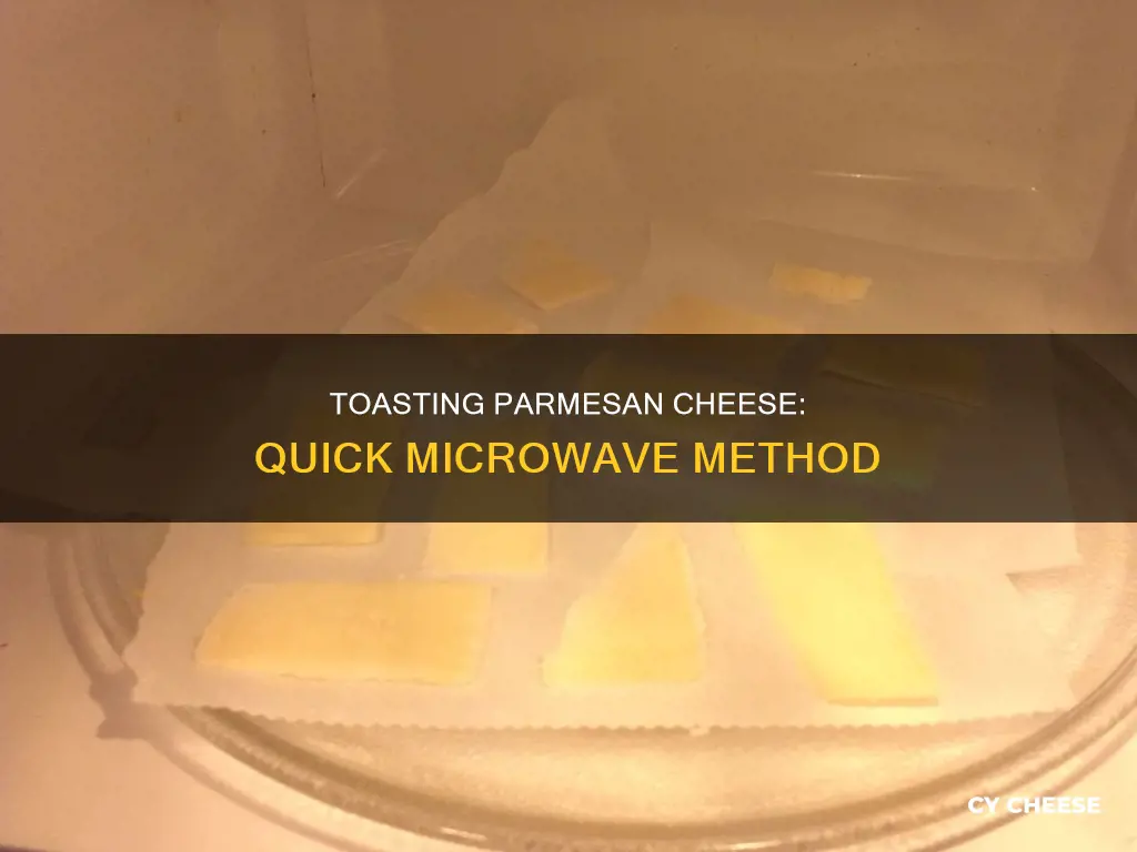 how to toast parmesan cheese in the microwave
