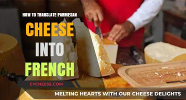 Translating Parmesan Cheese: Mastering French Delicacies