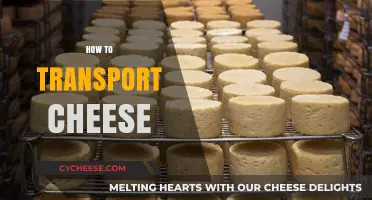 Mastering Cheese Transportation: Tips for Safe and Fresh Delivery