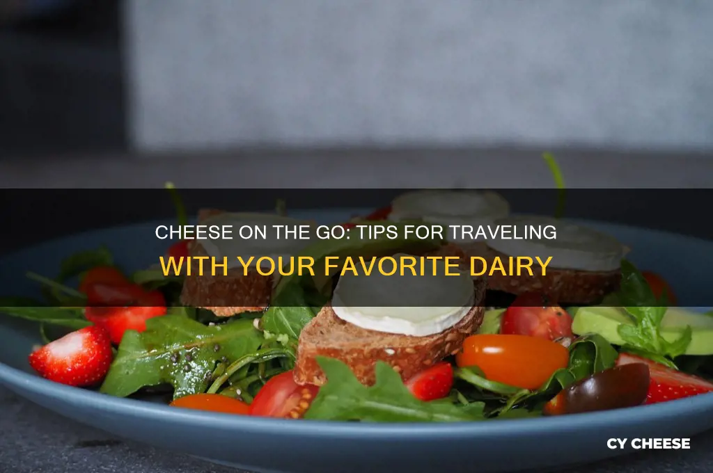 how to travel with cheese