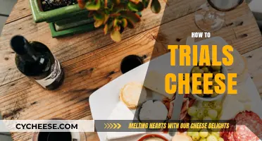 Mastering the Art of Cheese Trials: Tips for Perfect Pairings
