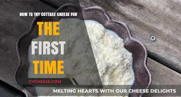 Cottage Cheese 101: A Beginner's Guide to Your First Taste