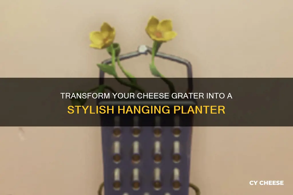 how to turn a cheese grater to hanging planter