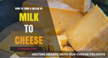 Transforming Milk to Cheese: A Simple Guide to Homemade Cheese Making