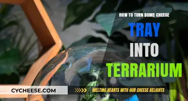 Transform Your Dome Cheese Tray into a Stunning Terrarium
