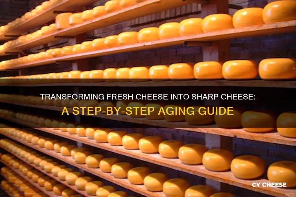 how to turn fresh cheese to sharp cheese