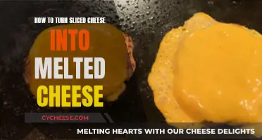 Transforming Sliced Cheese into Melty Deliciousness