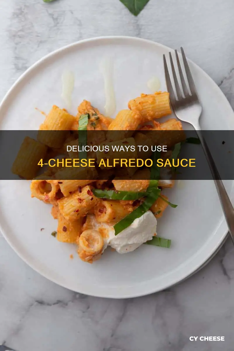 how to use 4 cheese alfredo sauce