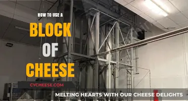 Cheese Block Magic: Creative Ways to Use It All