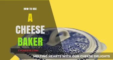 The Ultimate Guide to Using a Cheese Baker