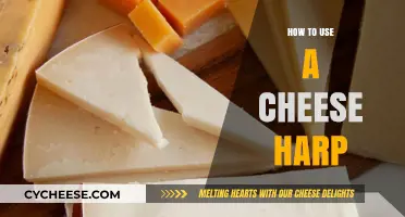 Mastering the Art of Using a Cheese Harp