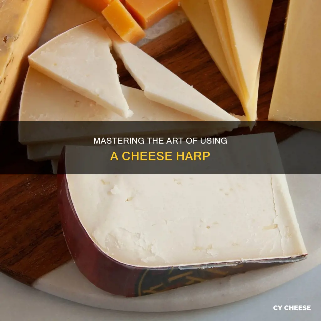 how to use a cheese harp