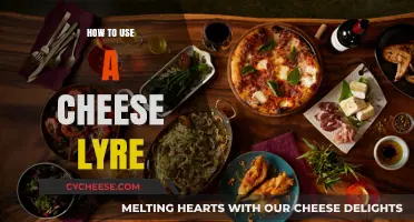 The Ultimate Guide to Using a Cheese Lyre