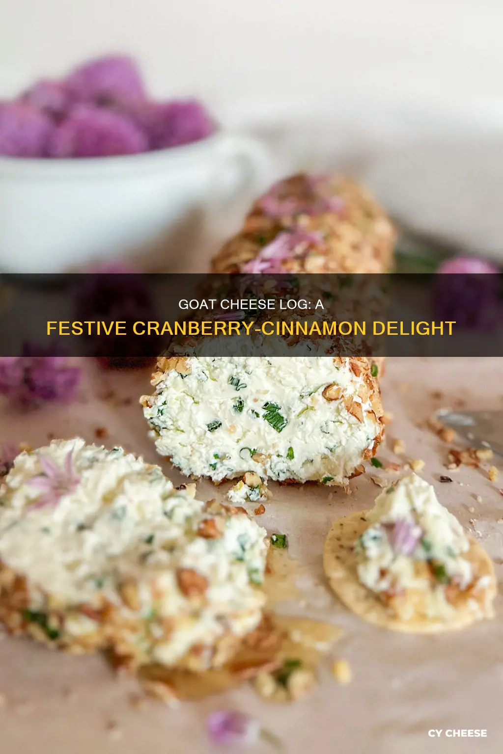 how to use a cranberry and cinnamon goat cheese log