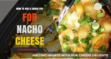 Easy Nacho Cheese in a Crock Pot