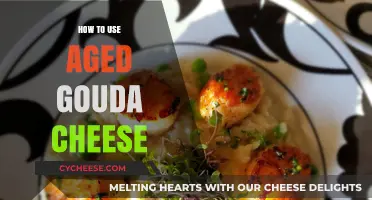 Explore Aged Gouda: Recipes and Pairings