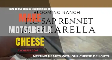 Rennet Mozzarella Magic: Mastering the Art